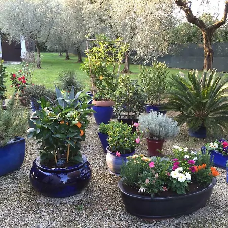 Oliveto Padenghe sul Garda