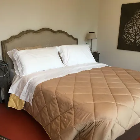 Oliveto Villa *